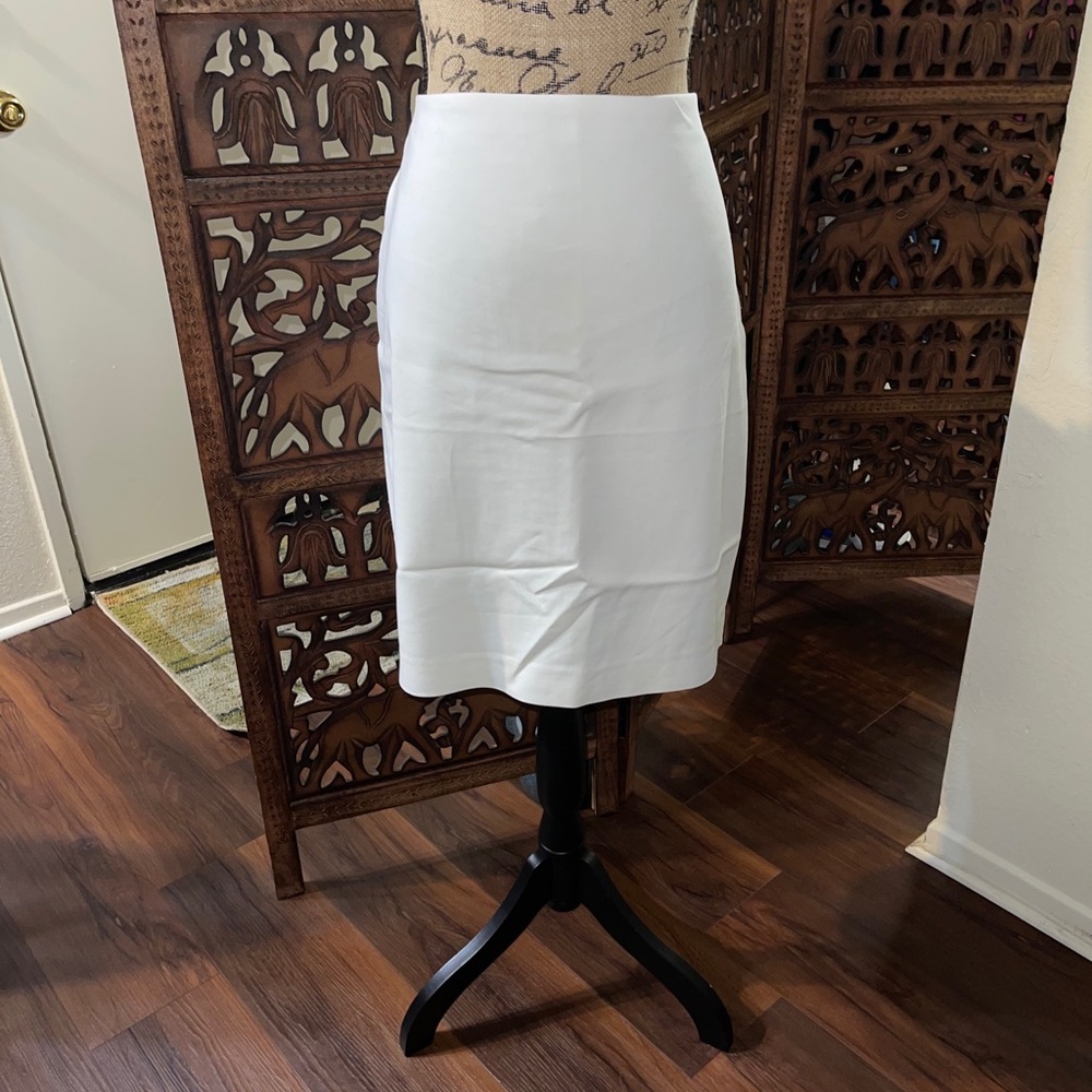 Express Waisted Pencil Skirt